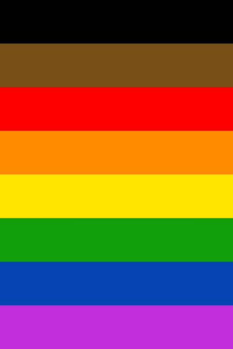 rainbow black and brown flag