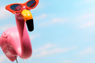 pink flamingo wearing 1960s glasses in front of sky background