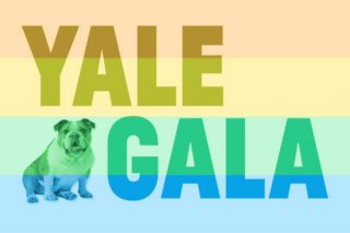 Yale Gala with a bulldog on rainbow flag