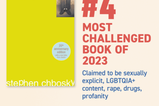 The Perks of Being a Wallflower by Stephen Chbosky