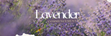 Undergrad Lavender Commencement
